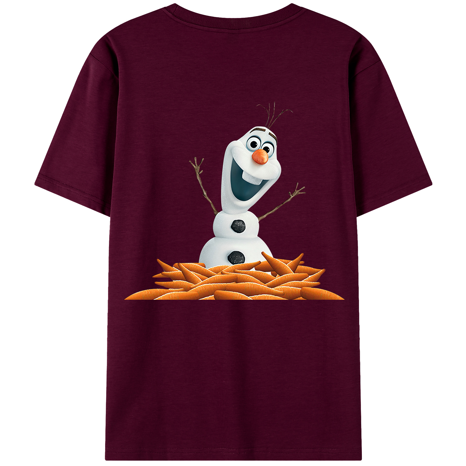 （画像用） アナと雪の女王 アンナ エルサ Frozen Anna Elsa レディース半袖Tシャツ(バックプリント)
